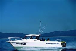 Eden Diver
